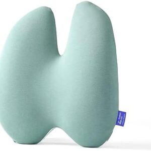 C CUSHION LAB Extra Dense Lumbar Pillow - Patented Ergonomic Multi-Region Firm Back Support for Lower Back Pain Relief - Lumbar Support Cushion with Strap for Office Chair, Car, Sofa - Wellness Green