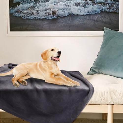 Onarway Dog Blanket Washable for Puppy: 4 Packs Dog Blankets 40”x28” - Fluffy Soft Small Throw for Cat Puppy Kitten Dogs - Fleece Pet Blankets for Bed Sofa Car and Indoor - Lake Green and Purple - Image 7