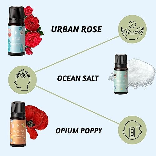 Folkulture Self Love Club Essential Oils Set | 6 Relaxing Fragrance Oils for Diffusers | Green Tea, Cashmere, Ocean Salt and More| Valentine’s Day Aromatherapy Gift for Her | Home Relaxation Scents - Image 3