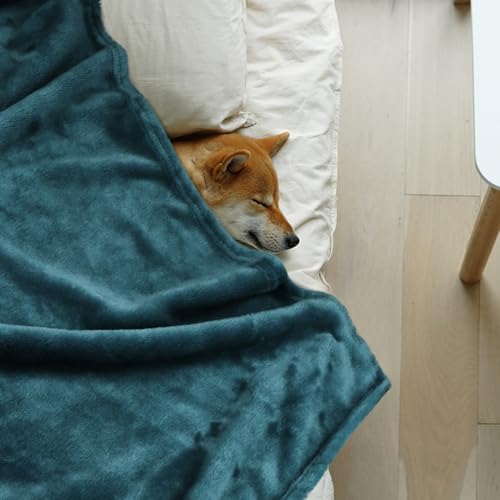 Onarway Dog Blanket Washable for Puppy: 4 Packs Dog Blankets 40”x28” - Fluffy Soft Small Throw for Cat Puppy Kitten Dogs - Fleece Pet Blankets for Bed Sofa Car and Indoor - Lake Green and Purple - Image 2