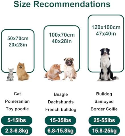 Onarway Dog Blanket Washable for Puppy: 4 Packs Dog Blankets 40”x28” - Fluffy Soft Small Throw for Cat Puppy Kitten Dogs - Fleece Pet Blankets for Bed Sofa Car and Indoor - Lake Green and Purple - Image 3