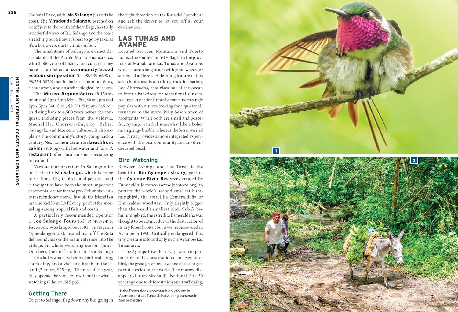 Moon Ecuador & the Galápagos Islands: Outdoor Adventure, Indigenous Culture, Sustainable Travel (Moon Latin America & Caribbean Travel Guide) - Image 9